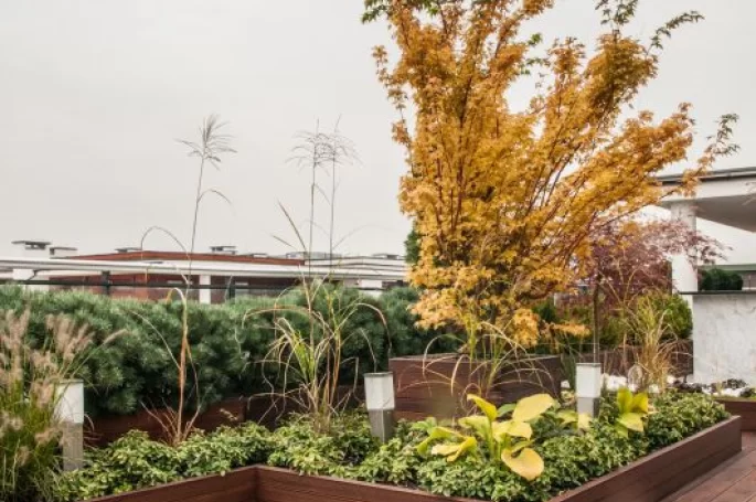 Cumaru Terrace Board